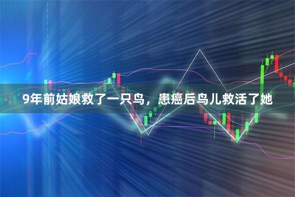 9年前姑娘救了一只鸟，患癌后鸟儿救活了她