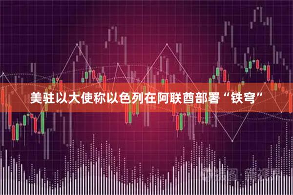 美驻以大使称以色列在阿联酋部署“铁穹”